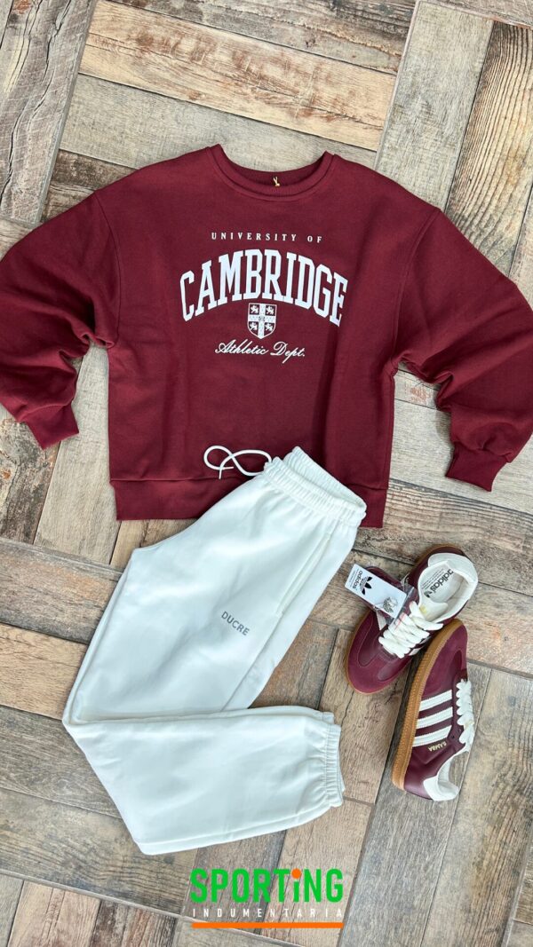 Buzo Cambridge Bordo